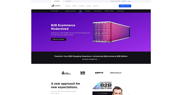 bigcommerce landing page example